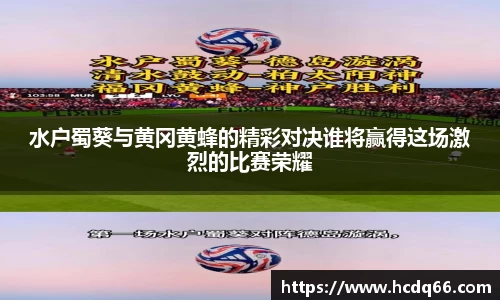 水户蜀葵与黄冈黄蜂的精彩对决谁将赢得这场激烈的比赛荣耀